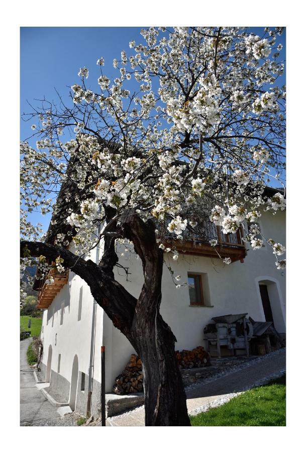 La Maison Abeil LʼArgentière-la-Bessée Kültér fotó
