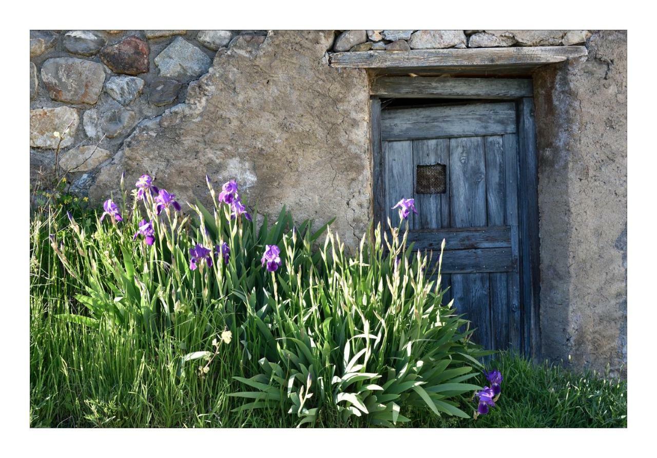 La Maison Abeil LʼArgentière-la-Bessée Kültér fotó